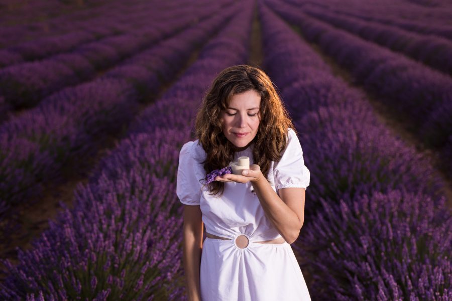 Actividades Floración de la lavanda en Madrid